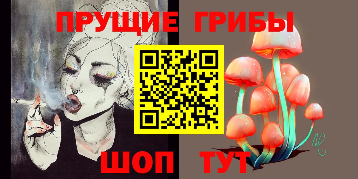 Псилоцибиновые грибы Psilocybe Краснотурьинск
