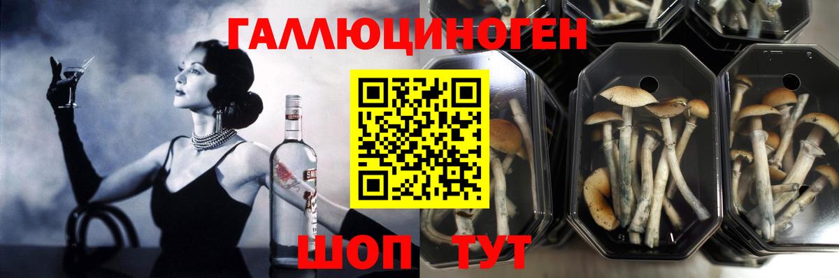 Галлюциногенные грибы Psilocybine cubensis  Вход с VPN  дарнет шоп  Краснотурьинск  Псилоцибиновые грибы прущие грибы 